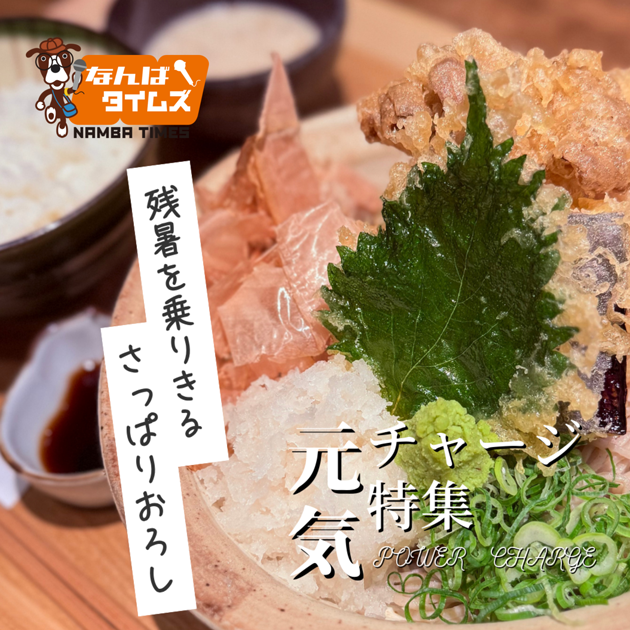 冷ッ！辛ッ！残暑を乗りきるさっぱりおろし 冨士屋