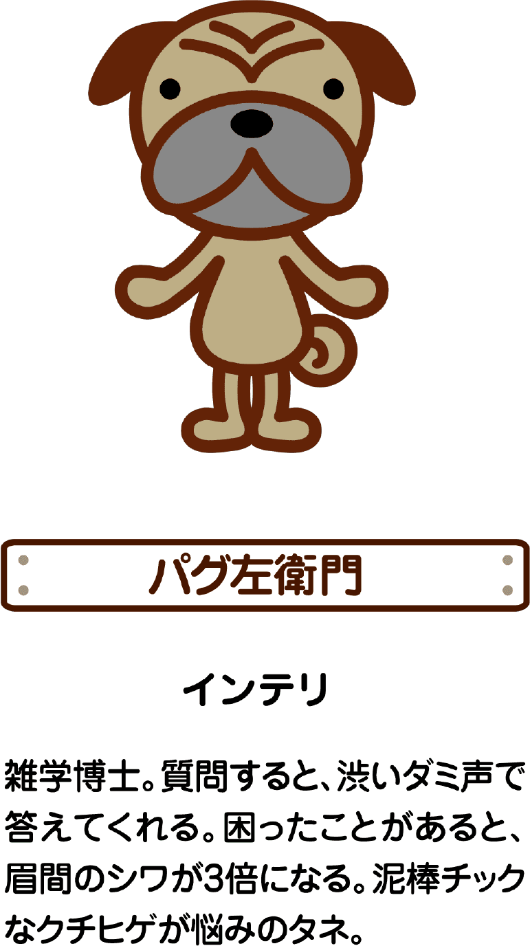 パグ座右衛門 インテリ